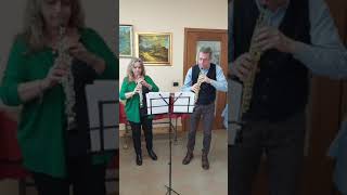 Antonio Vivaldi - Concerto In D Minor For Two Oboes Strings And Bc