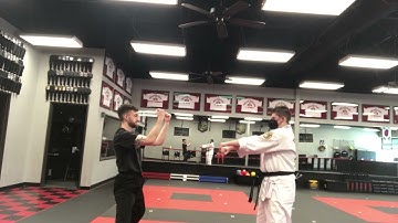 Double Inner Forearm Block Demo Vid