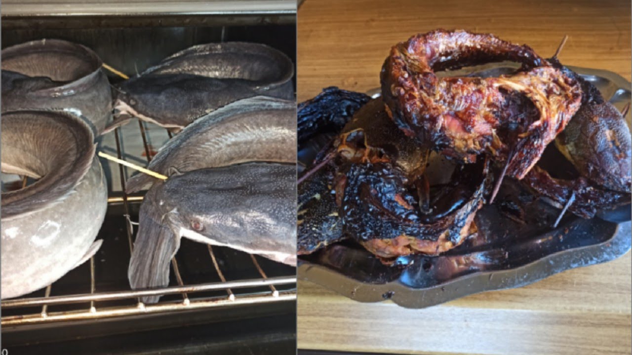 oven grilled smoked catfish/how to dry Nigeria catfish best home made dry fish