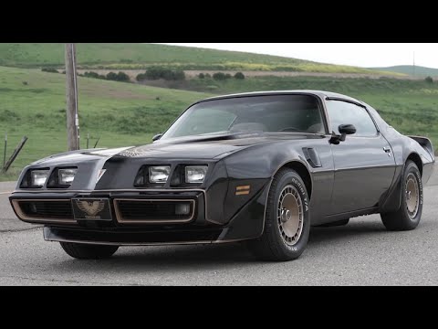 Turbo V8 Chicken: Pontiac Trans Am  - /BIG MUSCLE