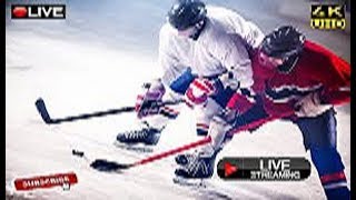 Forge vs. York 9 Canadian Premier League CANADA Live Stream 2019