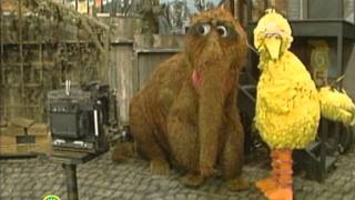 Sesame Street: Big Bird and Snuffy Get the Picture