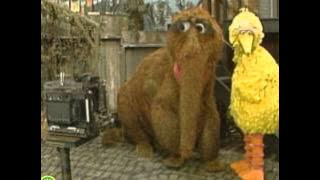 Sesame Street: Big Bird and Snuffy Get the Picture