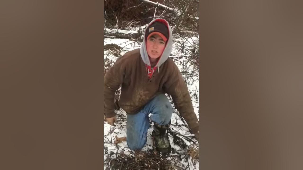 Chestnuts and Walnuts for deer hunting YouTube