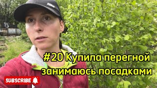 # 20 Купила перегной ,занимаюсь посадками