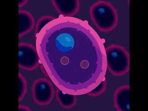 Videó: Miért fontos, hogy a sejtek képesek kommunikálni más sejtekkel?