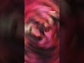 المطرب زعق في معازيم الفرح اغرب مشهد هتشوفه