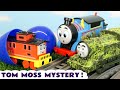 Tom Moss Mystery Toy Train Story with Thomas Trains and Bruno