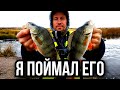 Ух Ты Поймал ЕГО/ ОСЕННЯЯ РЫБАЛКА на ОКУНЯ!