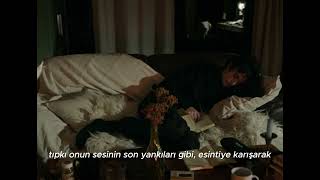 Tamino - Willow Türkçe Çeviri