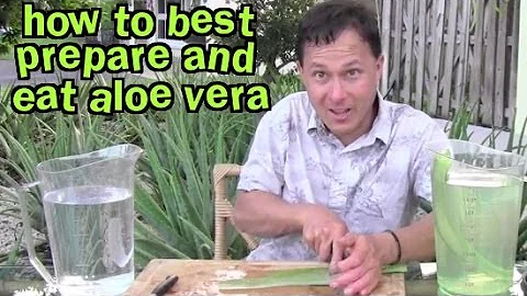 How to Best Prepare and Eat Aloe Vera & Aloe FAQ