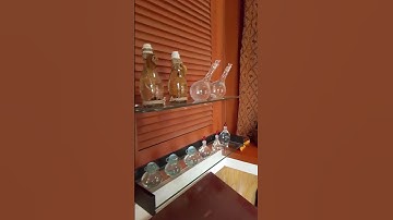 ada patung burung belibis sedang berduaan #music #vtuber #trendingshorts