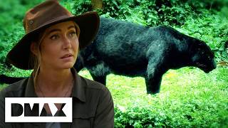 Terrifying Audio Recordings Spark A Hunt For A Legendary Creature | Expedition X