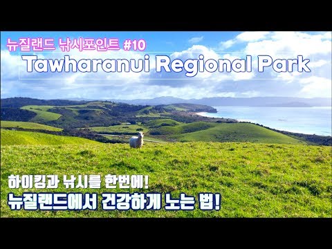 [KIWILIFE]뉴질랜드 낚시포인트#<strong>10</strong> Tawharanui <strong>park</strong>!