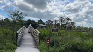 Hiking Florida's Hidden Oasis: Winding Waters Natural Area 🥾Khu bảo tồn thiên nhiên Winding Waters