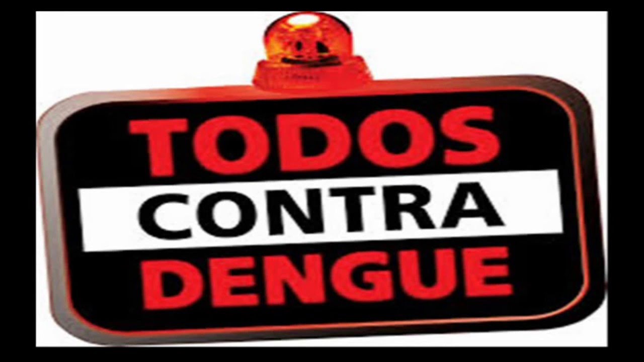 MOSQUITO DENGUE CHIKUNGUNYA ZIKA