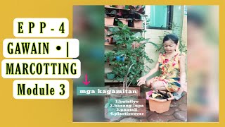 Famous E P P |• Module 3 |•Marcotting •| Grade 4 Net Worth