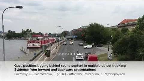 Gaze position in Multiple Object Tracking