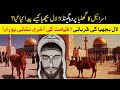 Israel sacrifice the red heifers and what will happen afterwards   islam advisor