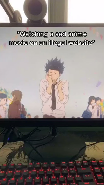 When you watch anime on Illegal websites