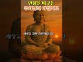 인생을 바꾸는 부처님의 아침기도 | 이 생각이 당신의 하루를 바꿉니다