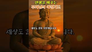 인생을 바꾸는 부처님의 아침기도 | 이 생각이 당신의 하루를 바꿉니다
