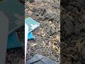 work at site under tree