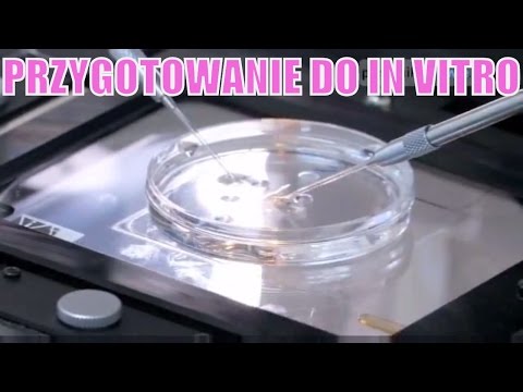 Wideo: Zapłodnienie In-vitro (IVF): Procedura, Przygotowanie I Ryzyko