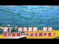 壯觀直擊！墾丁「梭魚軍團」壓境　潛水客興奮甜喊：不必去國外看了｜三立新聞網 SETN.com