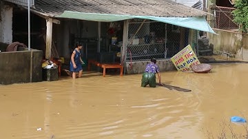 Tin Lũ Mới Nhất: Hơn 100 ngôi nhà tại Nghệ An ngập sâu trong nước lũ