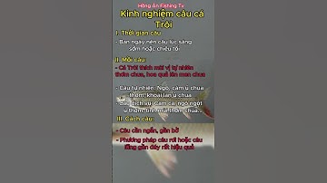Kinh nghiệm câu cá Trôi hiệu quả #shots #caucagiaitri