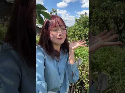 ロンドンでリアルどうぶつの森しています🌳🍎