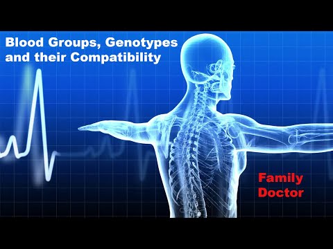 FAMILY DOCTOR: Blood Groups Genotypes and their Compatibility