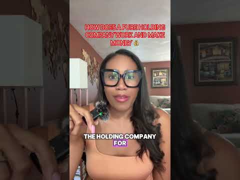 HOW DOES A HOLDING COMPANY WORK AND MAKE MONEY - ATTORNEY CHANISE ANDERSON, Esq BREAKS IT DOWN