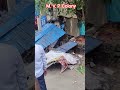 Vizag street vendor shops removed M. V. P. Colony😭🔥🔥🔥🔥