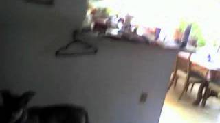 Capture 20100903 1