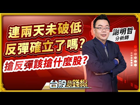 謝明哲分析師【連兩天未破低 反彈確立了嗎? 搶反彈該搶什麼股】│#台股最錢線 2024.04.23