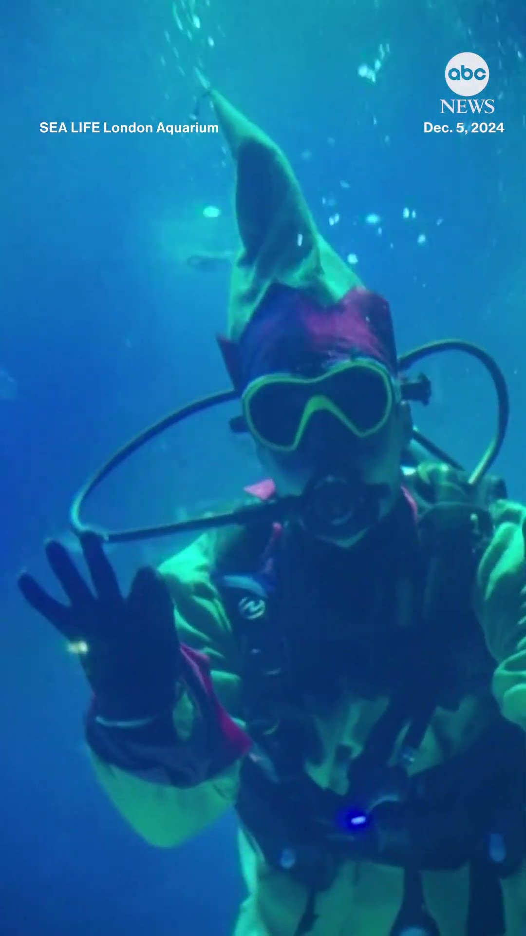 'Scuba Santa' brings festive cheer to London aquarium