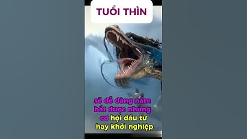 con giáp may mắn đến hết năm tuổi Thìn Quyết đoán nắm bắt cơ hội, tài lộc khởi sắc #tuvi #tuvi12cong