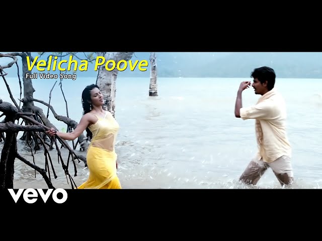 Ethir Neechal - Velicha Poove Video | Sivakarthikeyan, Priya class=