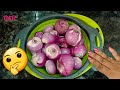 बहुत काम की किचन टिप्स जो आपने पहले नहीं देखी होगी💁‍♀️ |  Useful Kitchen Tips/Hacks | Amazing Tips🤔