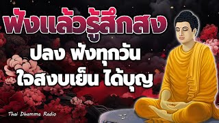 ธรรมะก่อนนอน ☘️ปล่อยวางได้มาก หยุดคิดมาก ได้สติ ได้บุญมาก☘️ Thai Dhamma Radio