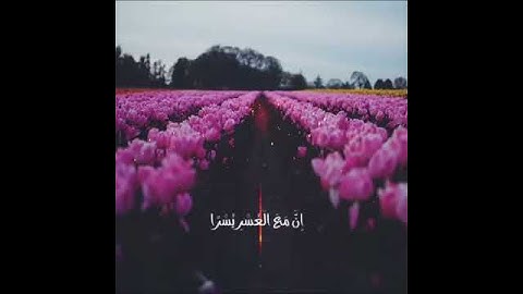 سورة الشرح - ماهر المعيقلي