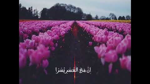 سورة الشرح - ماهر المعيقلي