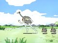 Gosenzo-sama Banbanzai! - Imitate ostrich
