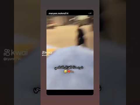 شرد مناا الغزال الشامي