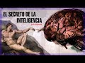 El secreto de la inteligencia - Corto Documental