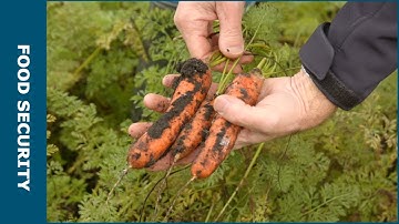 Future-proof pest control - Kennisonline Magazine 2023