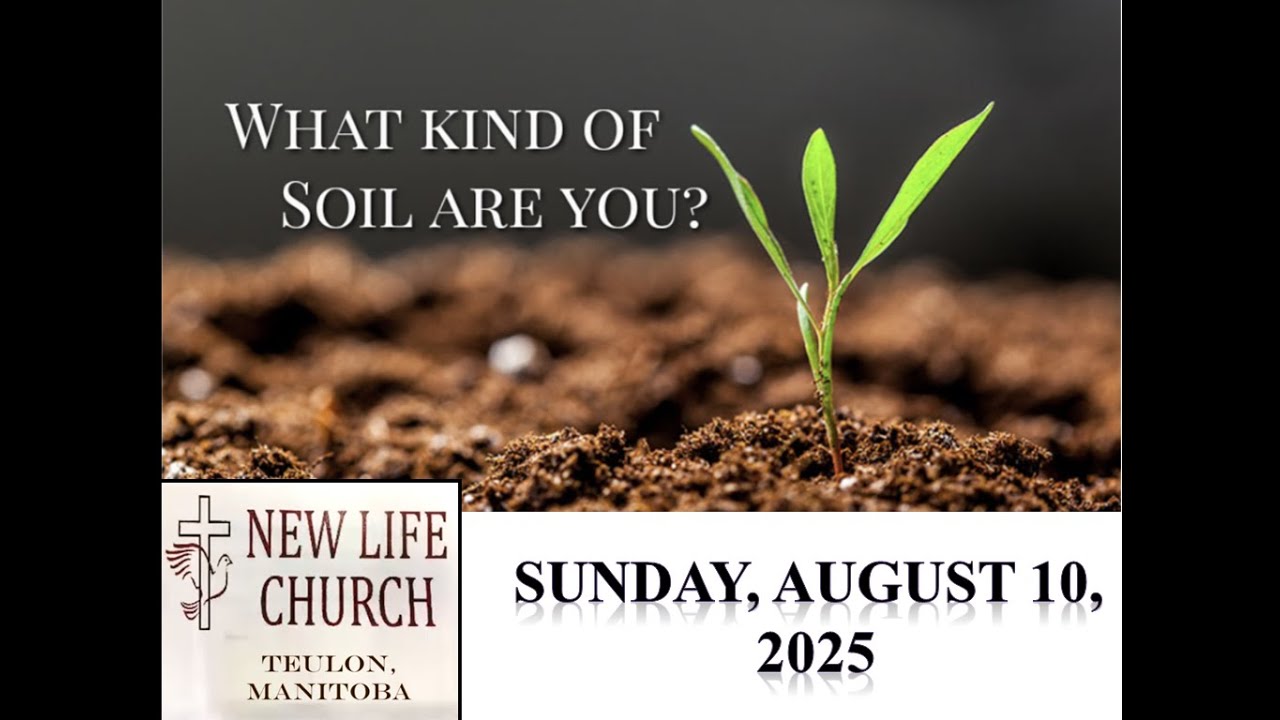 What Kind Of Soil Are You?