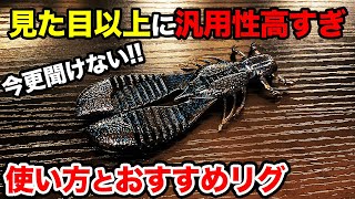 【バス釣り】エグチャンクの使い方!!フリーリグのセッティングやおすめカラーやトレーラー以外のリグをまとめてみた【3.5】 【4】【水中】【AKチャンクとの違い】【おすすめカラーはブラックブラウン】